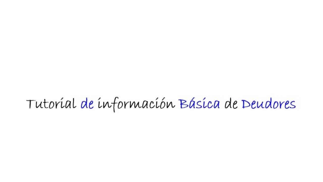 Web - Debtors Basic Info - Spanish