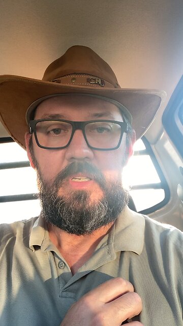 Frase do dia número 38