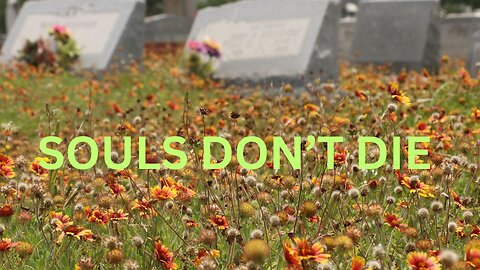 SOULS DON’T DIE ~ JARED RAND 11-30-2024 #2396