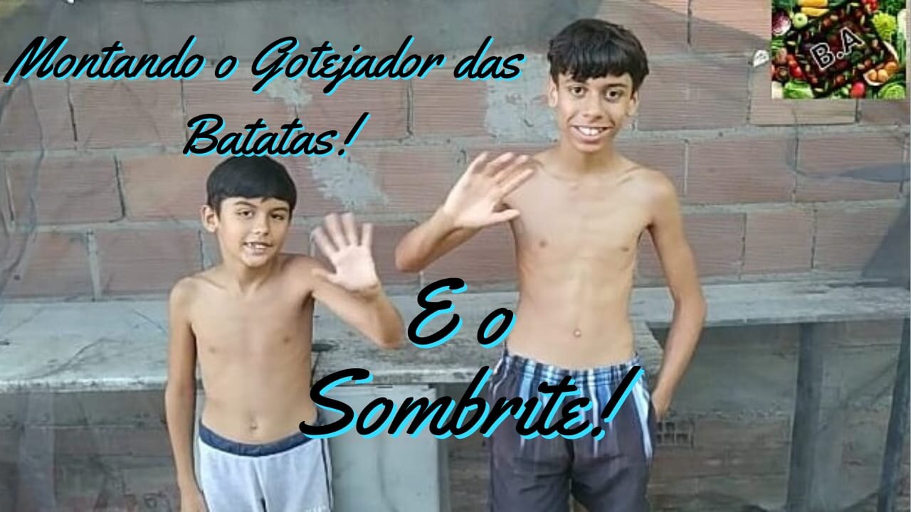 GOTEJADOR com garrafa PET e SOMBRITE com TELA DE MOSQUITO!