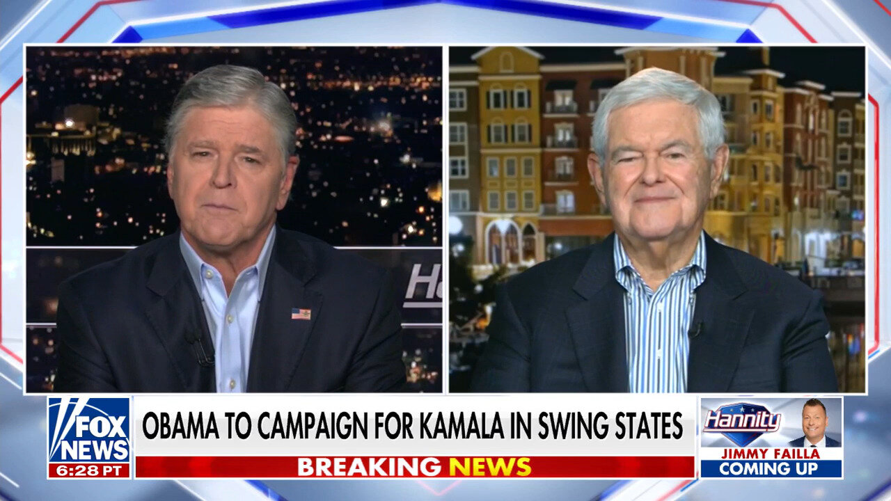 Newt Gingrich: Kamala Harris, Biden Administration Are 'Totally AWOL' Over Helene Response