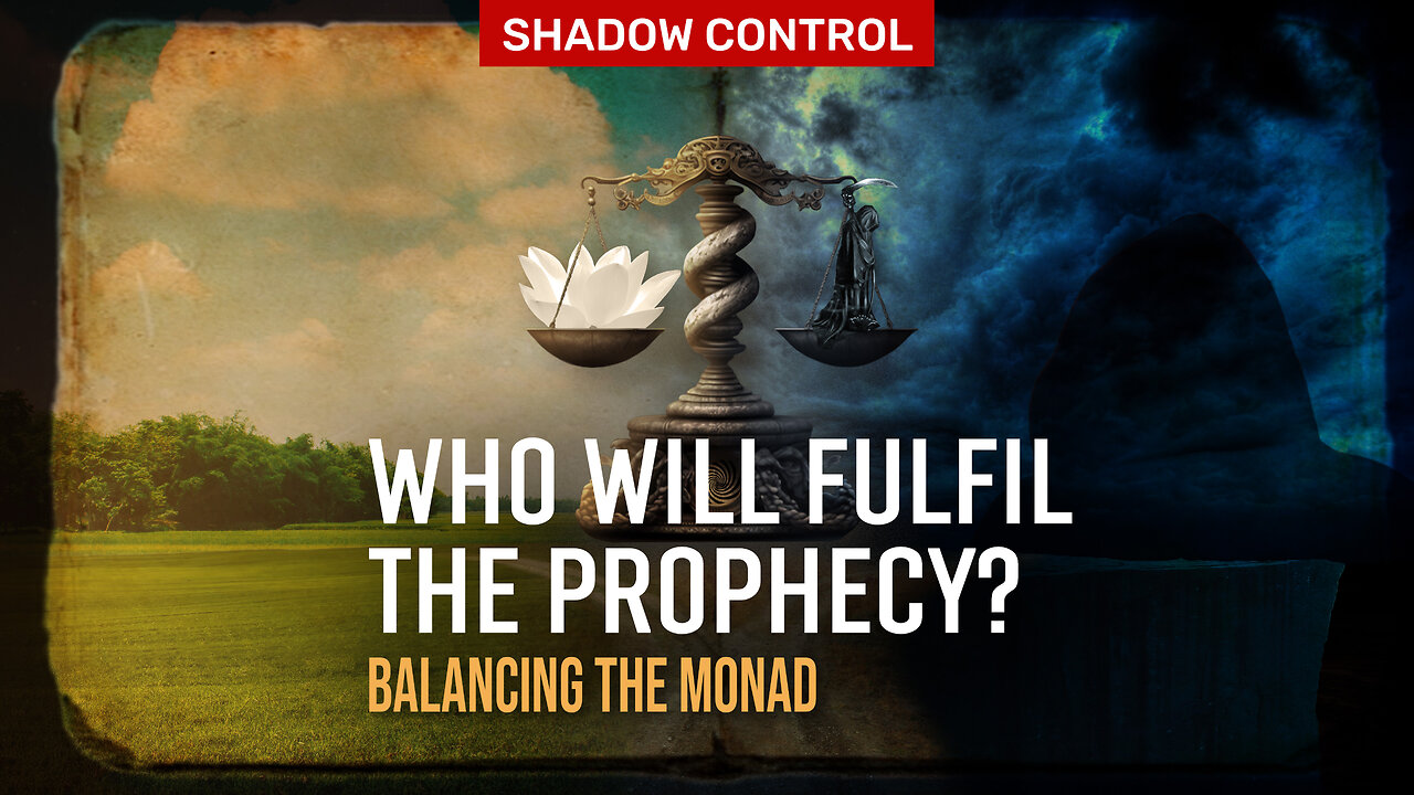 HOW TO CHANGE THE FUTURE | Shadow Control Balances the Monad