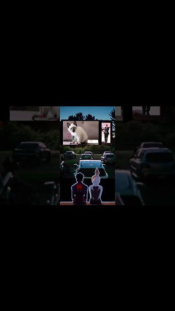 cat cover Maher Zain for the rest of my life short