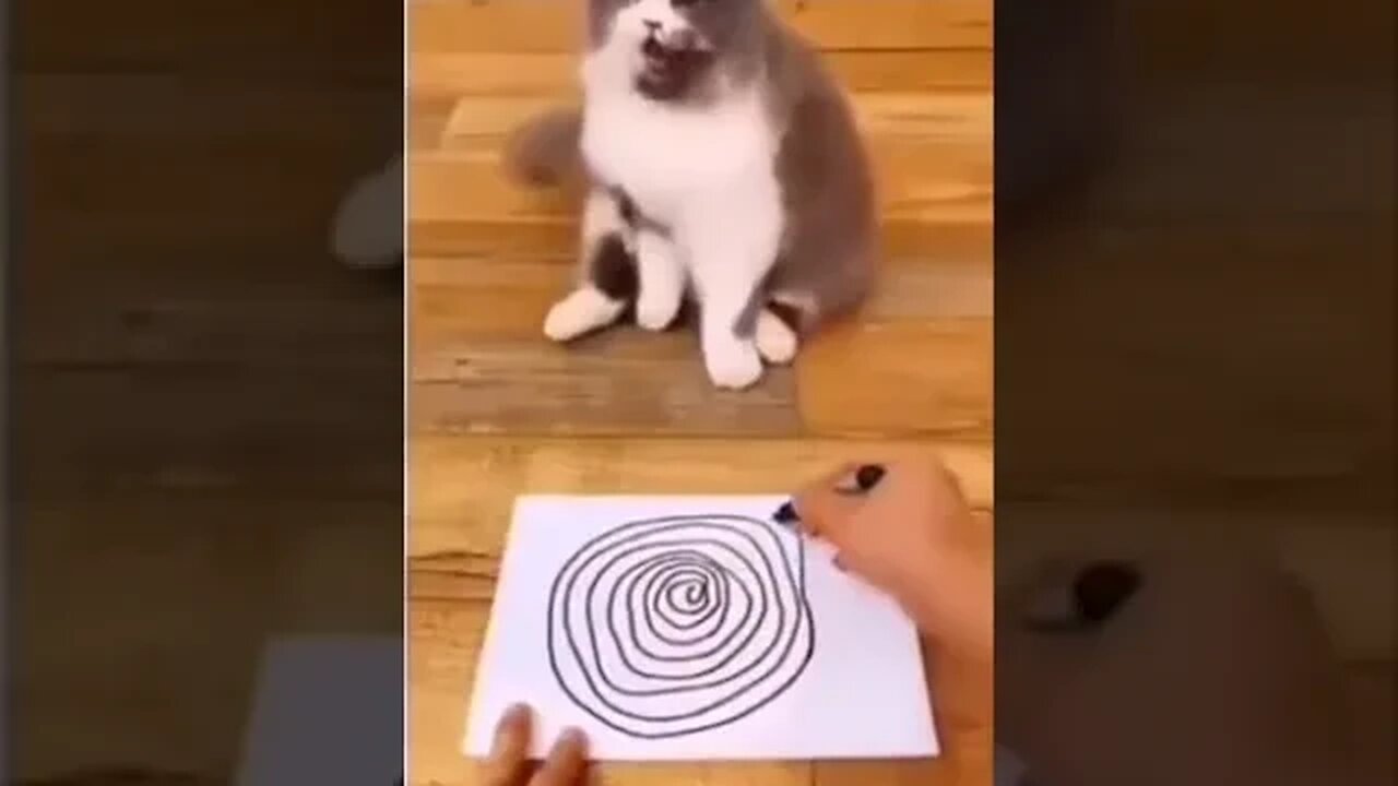 Hypnosis