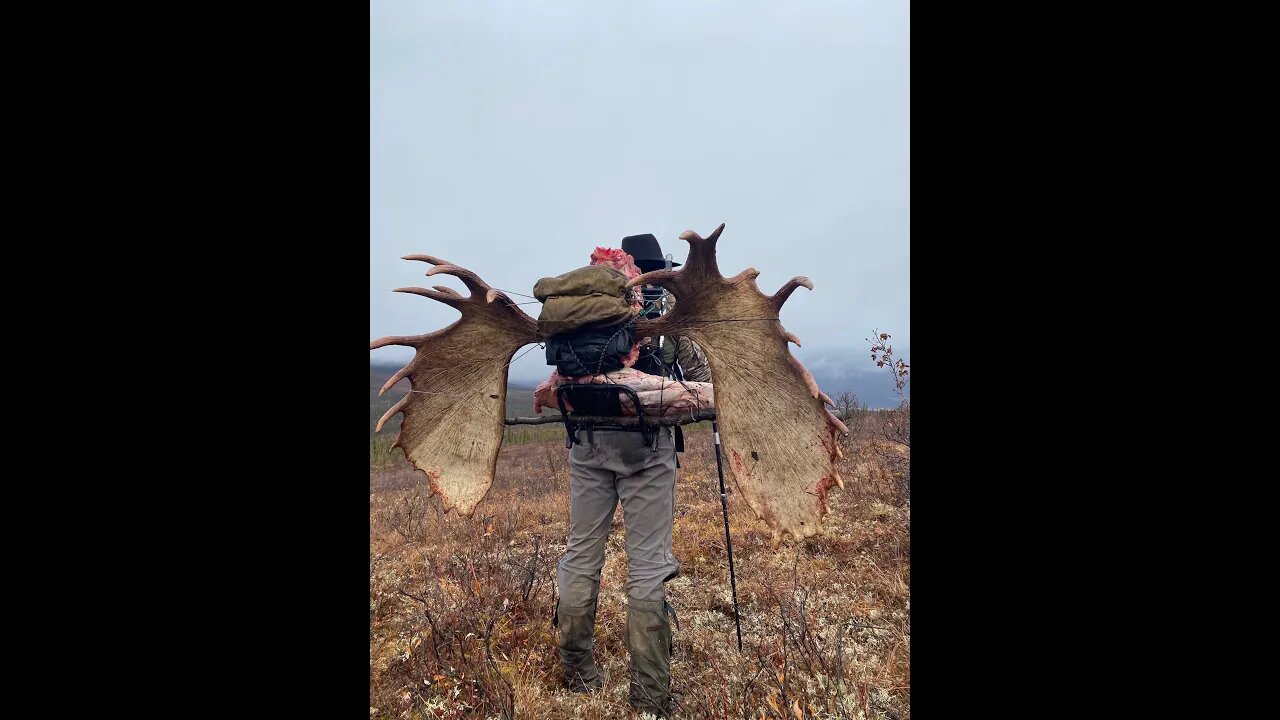 ALASKA MOOSE HUNT with Billy Molls "He's Never Lost" trailer, Modern Day Mountain Man Hunting