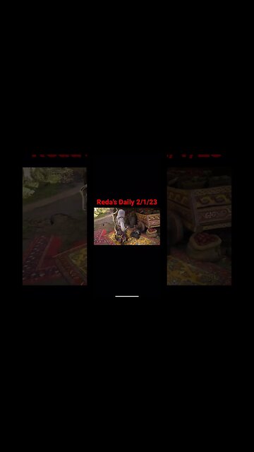 Reda’s Daily 2/1/23