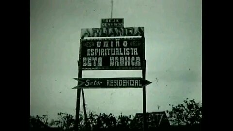 Homenagem à Tia Neiva