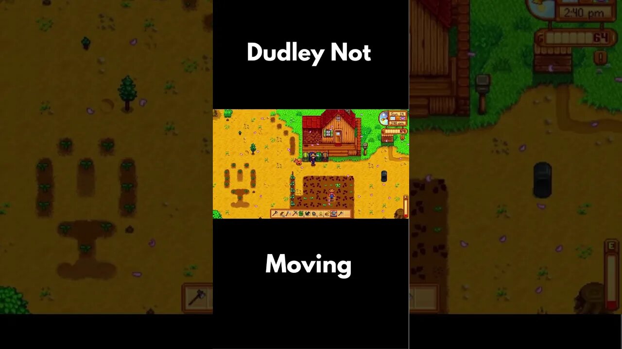 Stardew | Cat said " I ain't movin"