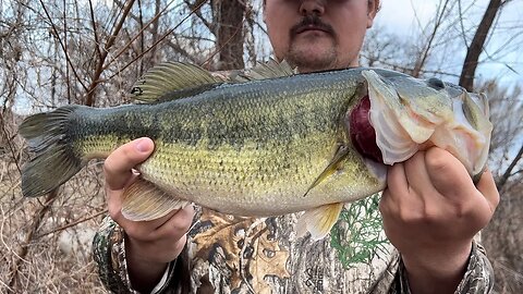 Big Swimbait = Big Bass!