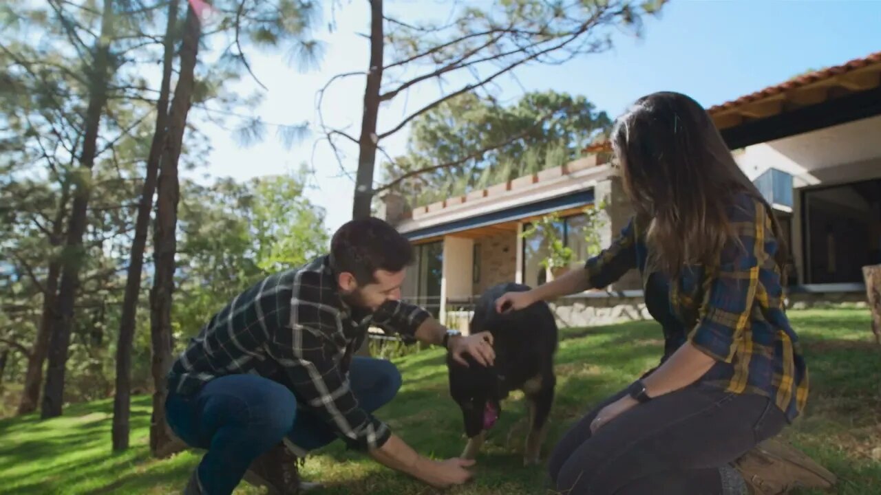 Man and woman playing with a dog in a garden