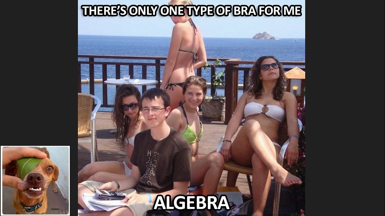 Memes That Will 99.962% Make You Laugh. (e187)