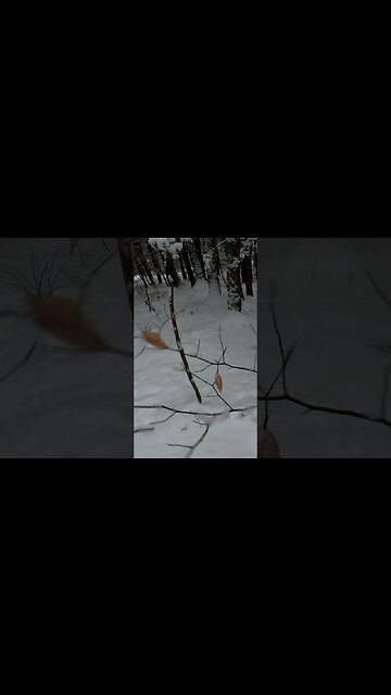 That didn't go to Plan...