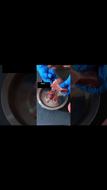 The perfect base for homemade cat food #shorts