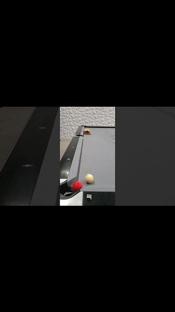 In & Out of the Bag Masse!⚪🔴 #8ballpool #shorts