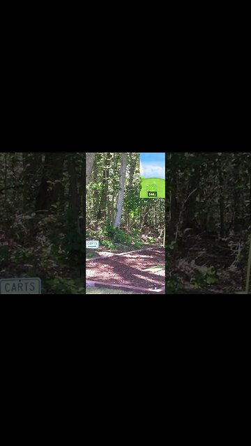 Mussleburgh Old Course - Hole 5 #Shorts #Golf #GarminR10 #Golfing #Golfer #SimGolf #YoutubeShorts