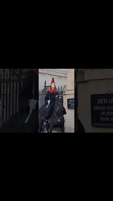 Horse leaves the box early #horseguardsparade