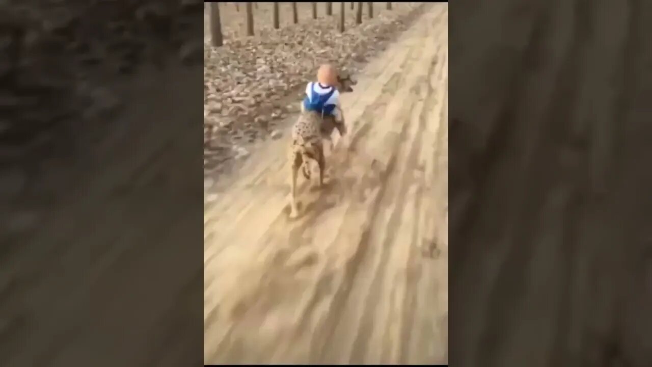 6 de fevereiro de 2023