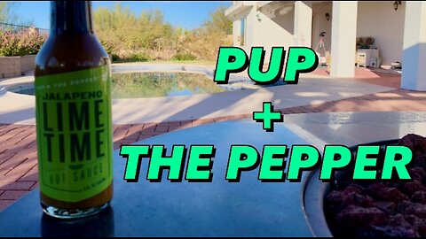 Jalapeno Lime time from Pup + The Pepper! It's a new day!