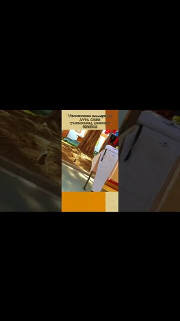 Vendedores callejeros en Avda. Oribe #tacuarembó #uruguay (05/02/2023)