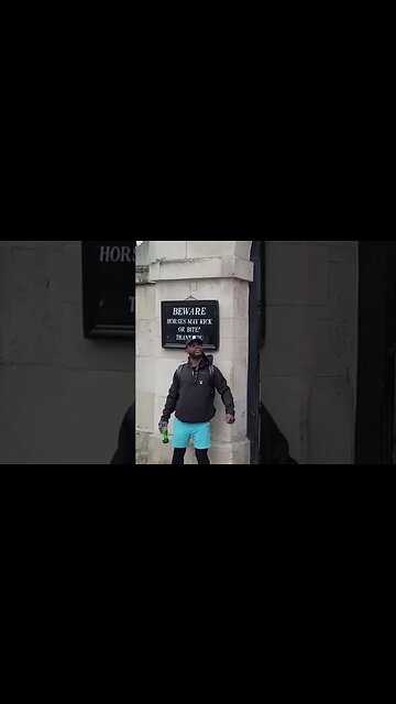 Drunk and touching #horseguardsparade