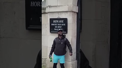 Drunk and touching #horseguardsparade
