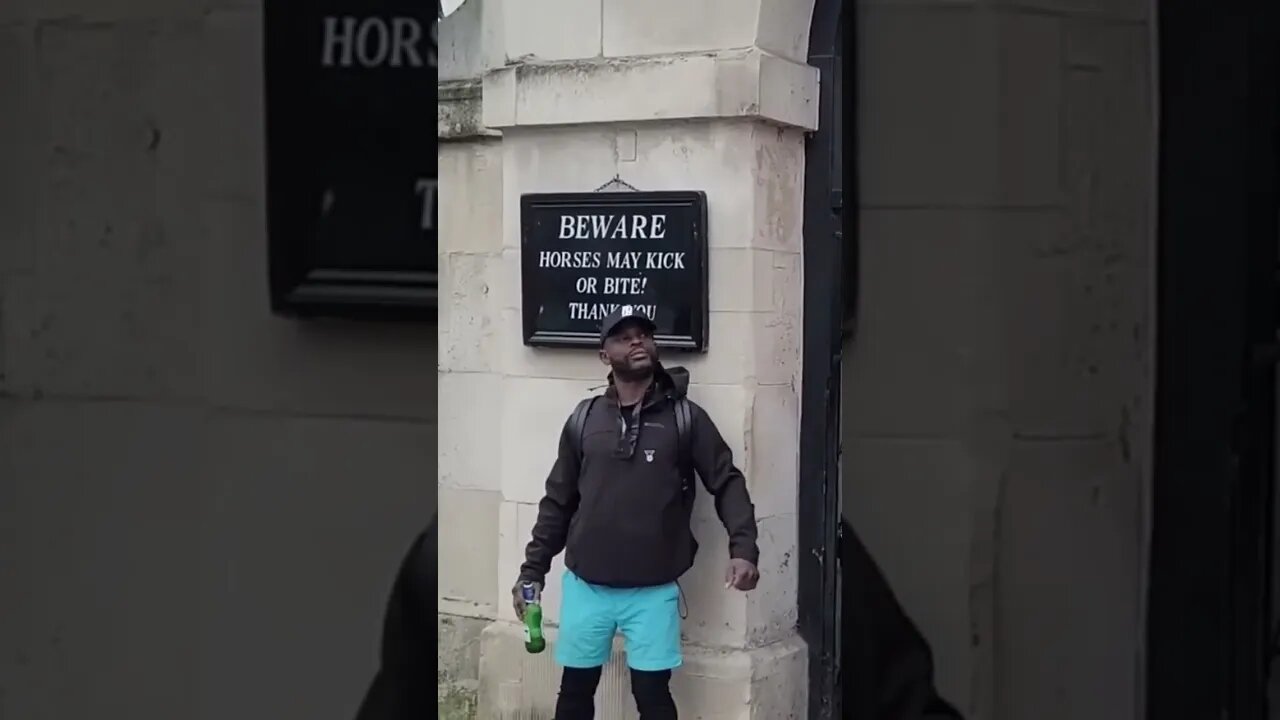 Drunk and touching #horseguardsparade