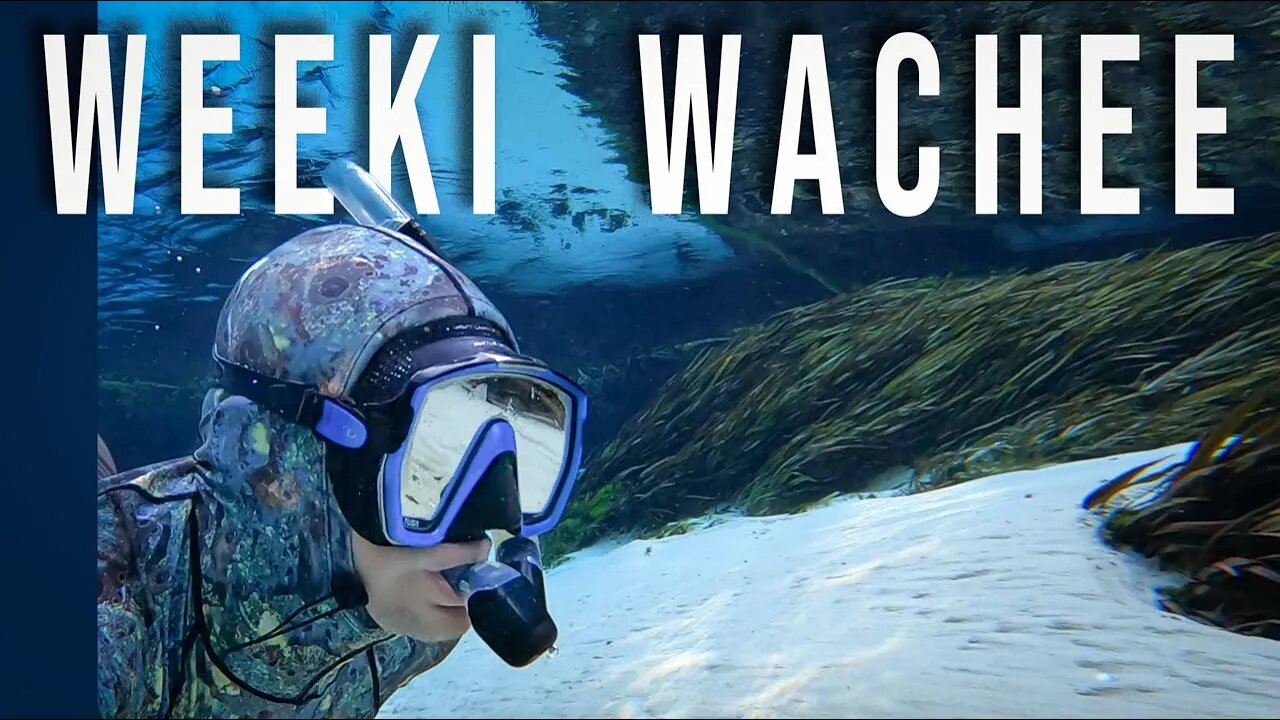 Weeki Wachee Snorkeling - Exploring in Crystal Clear Water