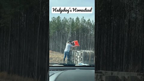 Fastest composter ever