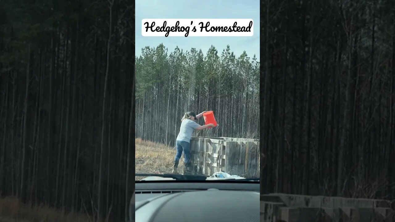 Fastest composter ever