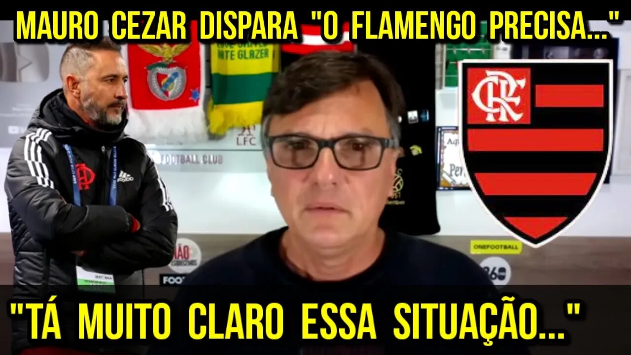 "Tá Muito Claro Essa Situação..." Mauro Cezar Analisa FLAMENGO e Dispara "O Flamengo Precisa..."