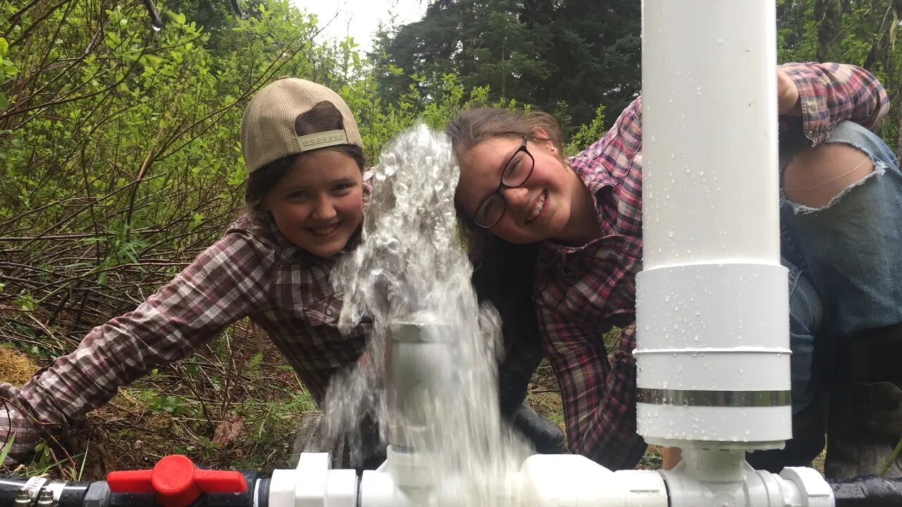 The Most Magical Homestead Technology: Stick a Ram Pump in your Beaver Pond!