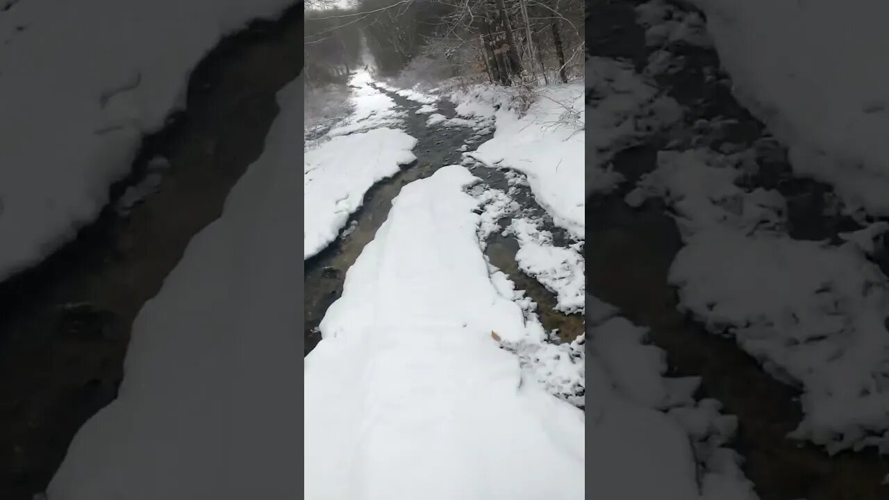 Riding the Creek