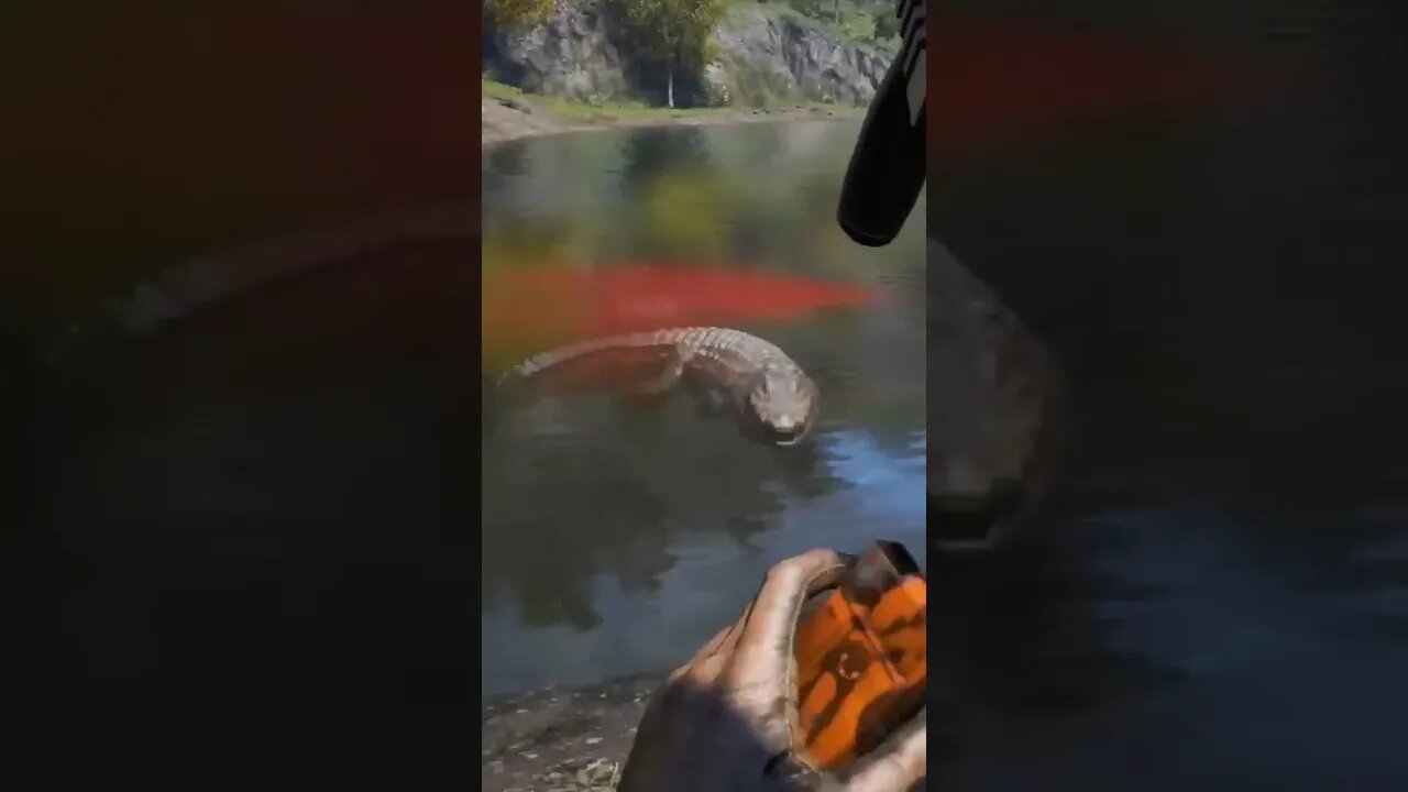 Alligator or Crocodile?