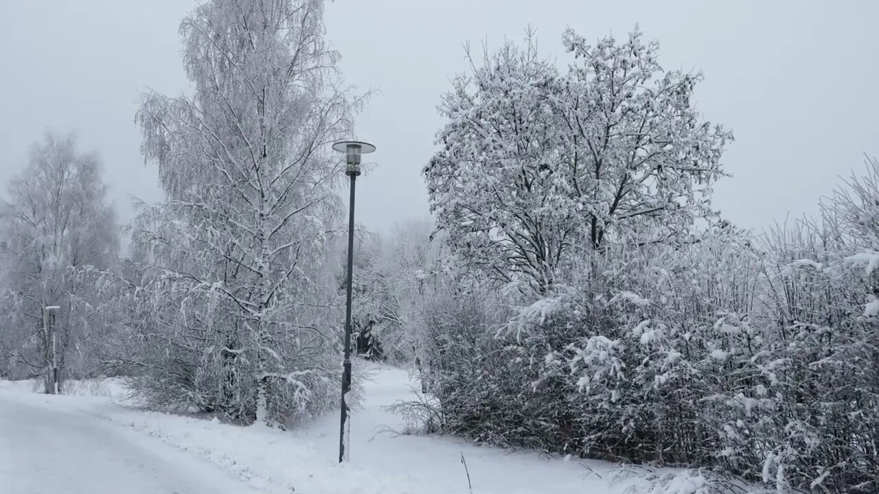 A foggy winter afternoon before dark 22.1.2023