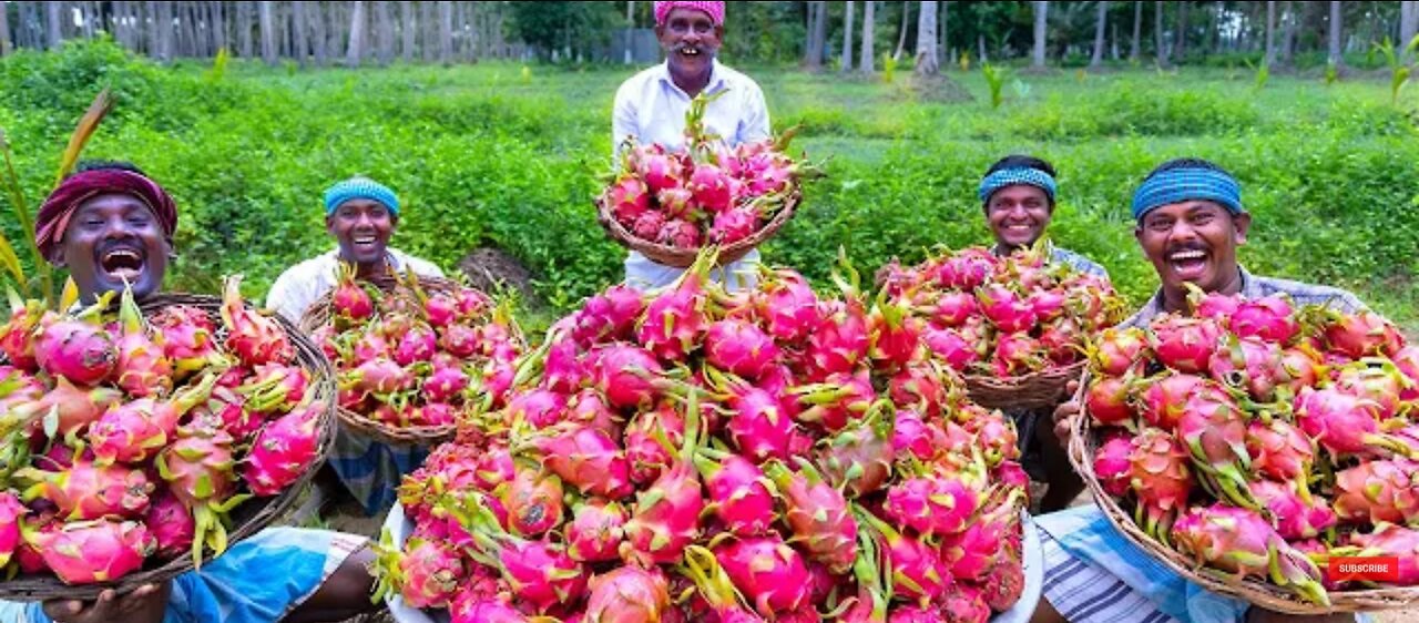 Dragon Fruit Jam