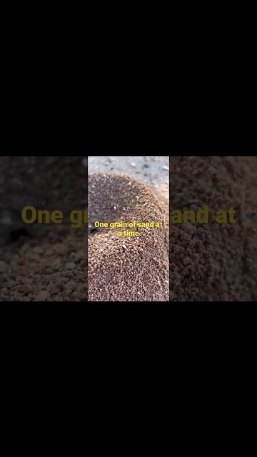 One Grain of Sand! #workethic #offgridhomestead