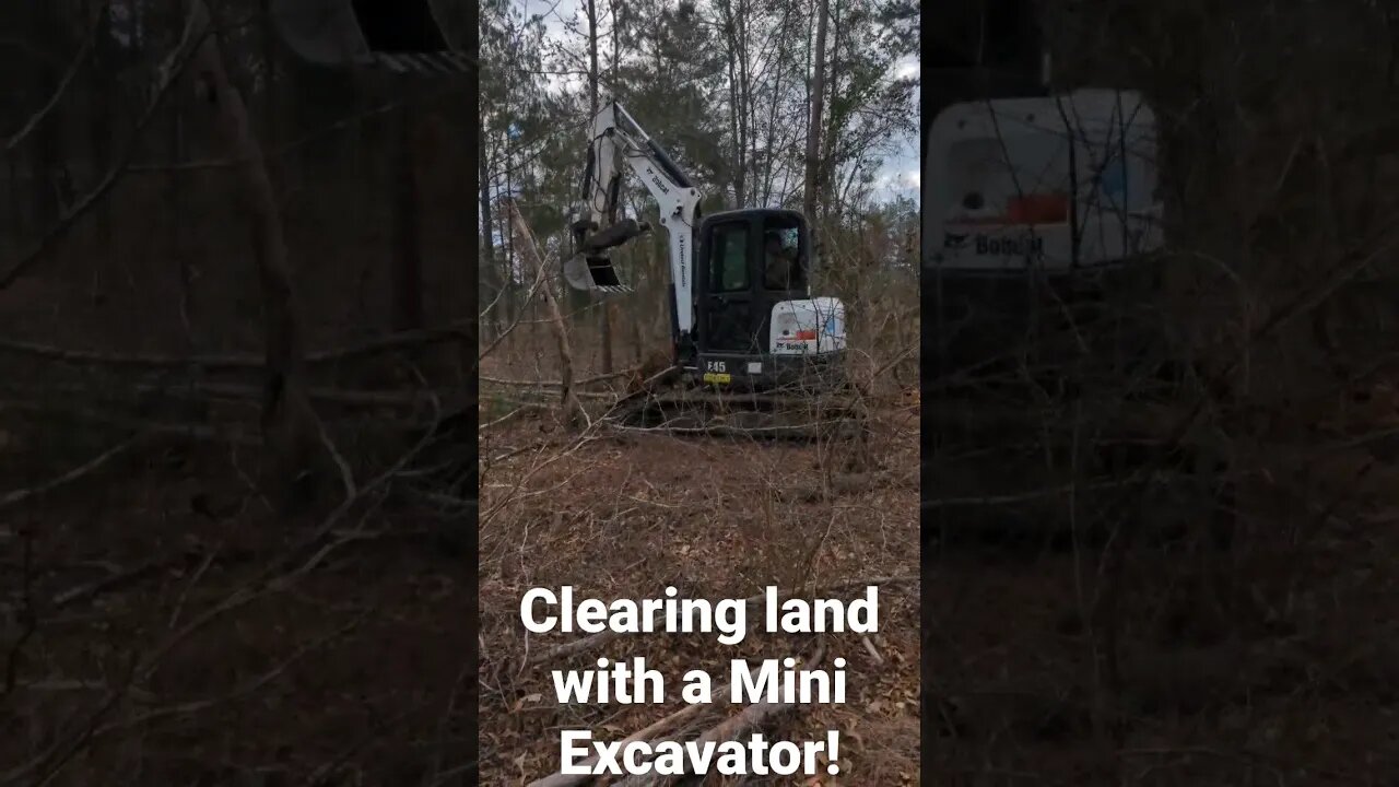 Clearing RAW Land With A MINI Excavator! #cowboys #texas #rawland #clearingland