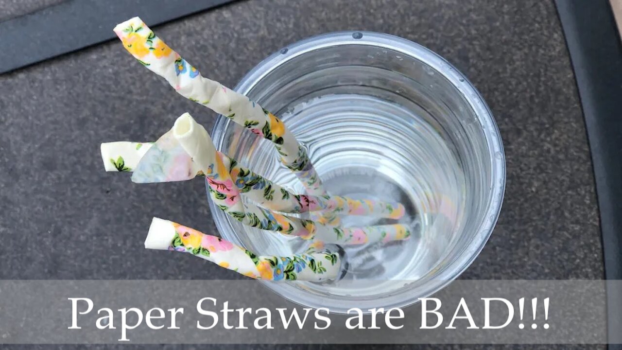 Paper Straws Are Bad!