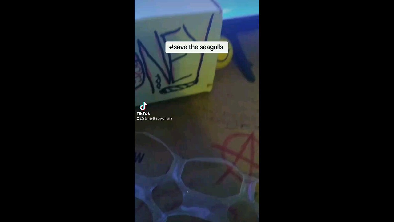 save the seagulls