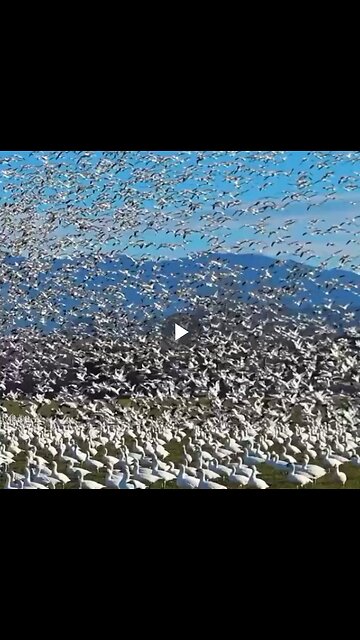 Skagit Valley, Washington State