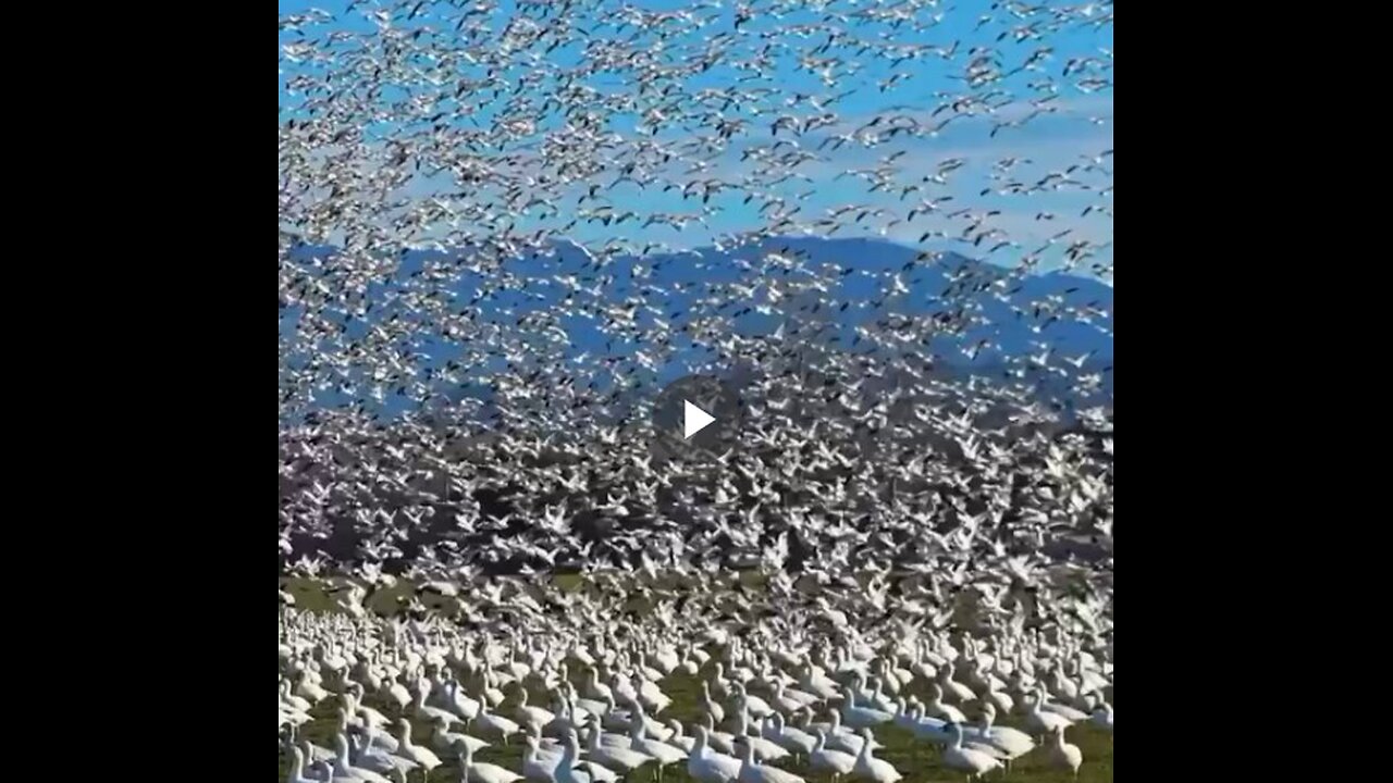 Skagit Valley, Washington State