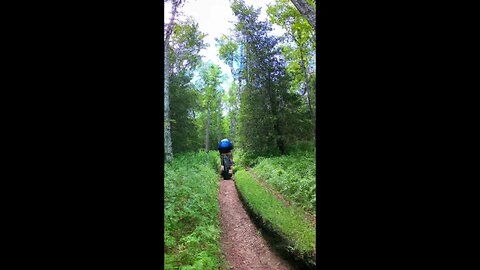 Cutting through the Jungle on my Fatbike ( Fatback Rhino )