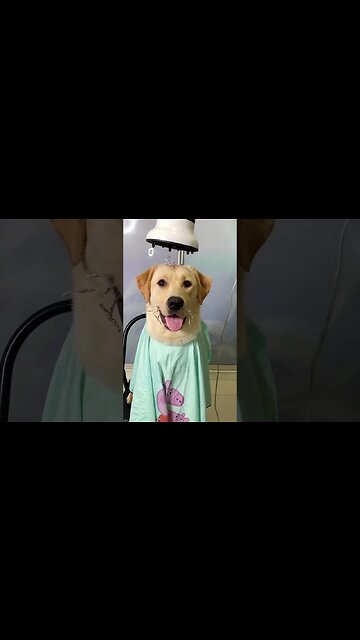 Party's blind date is dismissed as a flat head! Get a haircut and move on! #shorts