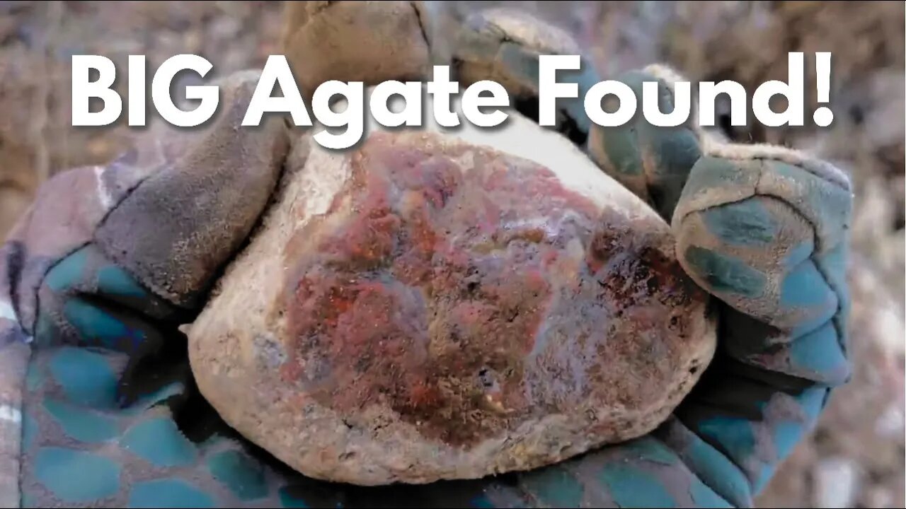 Monster Agate Found | Minnesota Rock Hunting