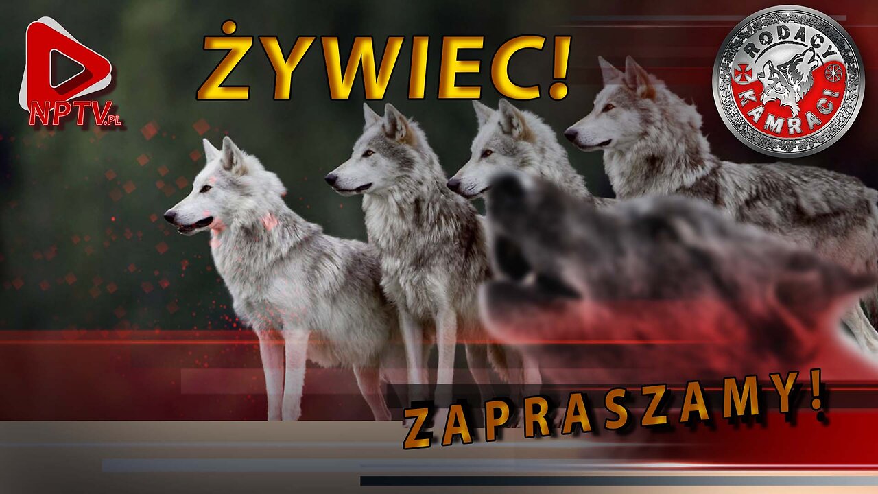 Konieczna samoobrona. Sob. 30.11.2024r. W. Olszański, M. Osadowski Rodacy Kamraci NPTV.pl