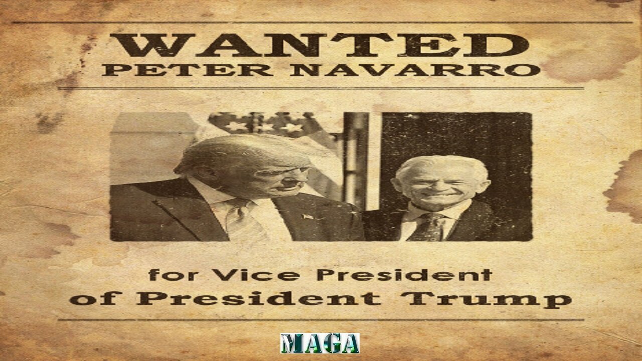 Peter Navarro for Vice President 2024