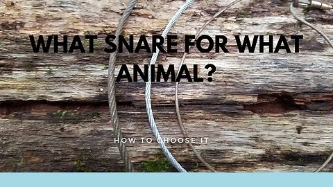 What Type of Snare for What Animal?
