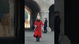 Ready nod go #horseguardsparade