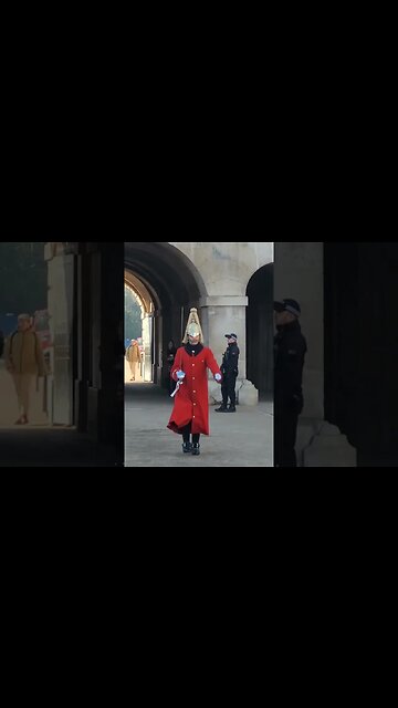 Ready nod go #horseguardsparade