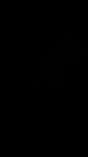 The US Dollar under Kamala